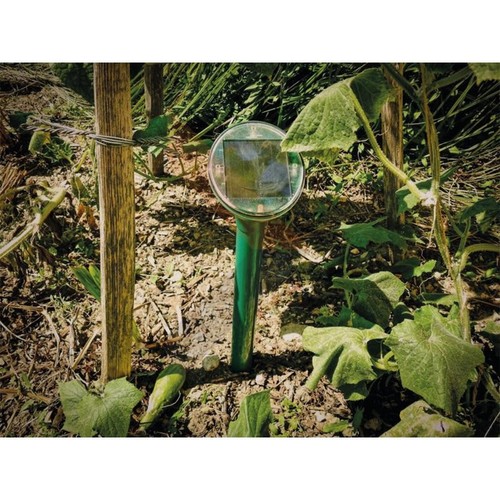 Swissinno supercat solar - swissinno,