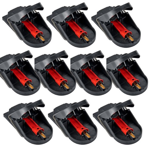 10x mausefalle supercat - mausefalle,